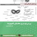 بررسی بهره وری محاسباتی کامپیوترها