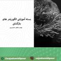 الگوریتم های بازگشتی